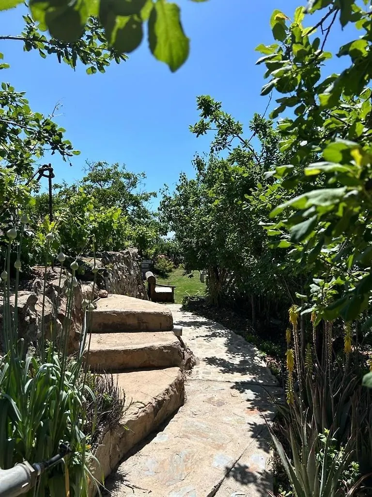Rosas Maerchenhafte Finca Mit Pool Vilaflor